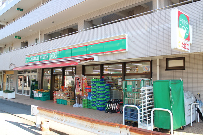 コンビニ　ローソンストア100川崎登戸店（コンビニ）まで200m