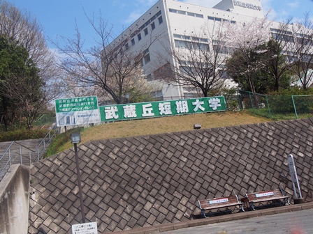 大学・短大　武蔵丘短期大学（大学・短大）まで1106m
