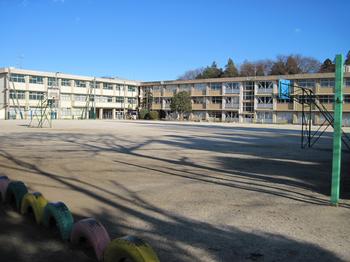 小学校　松戸市立高木小学校（小学校）まで875m