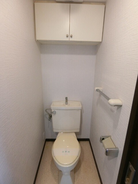 トイレ　＊他号室の写真です