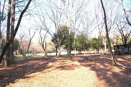 公園　清澄公園（公園）まで915m