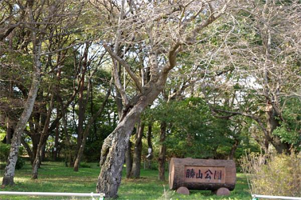 公園　さくら市勝山公園（公園）まで951m