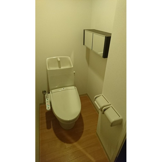 フォン・ヴィラージュIIのトイレ写真