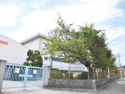 小学校　藤井寺市立 藤井寺南小学校（小学校）まで1537m