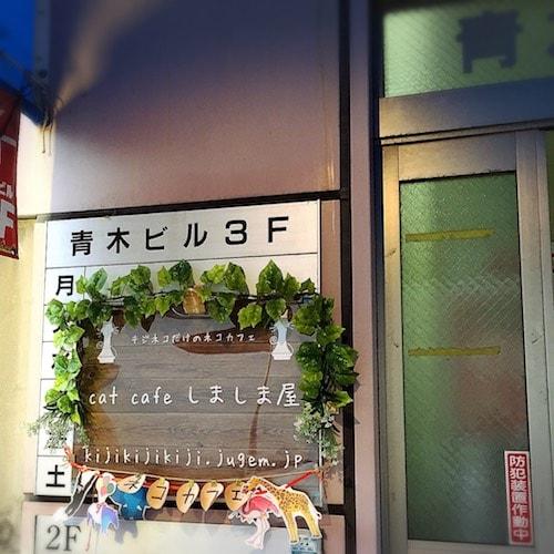 その他　ネコカフェ　しましま屋（その他）まで942m