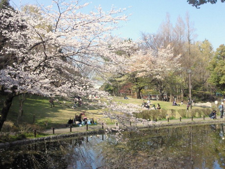 公園　蚕糸の森公園（公園）まで771m