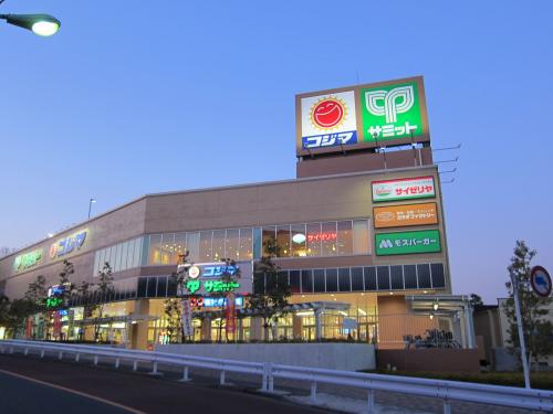 スーパー　サミットストア 成城店（スーパー）まで709m