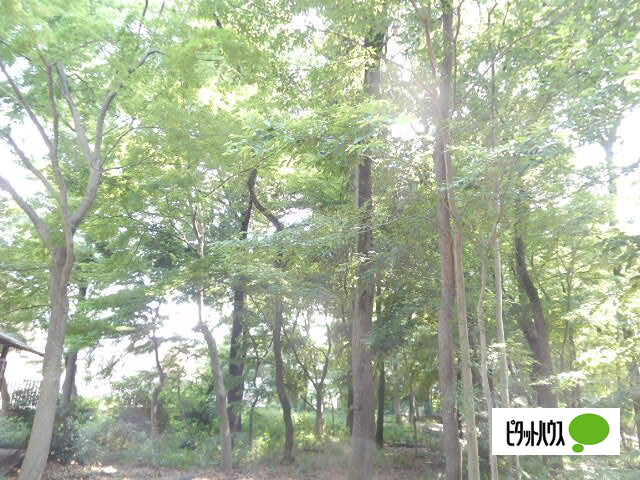 公園　浴恩館公園（公園）まで1206m