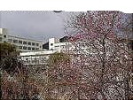 中学校　高倉中学校（中学校）まで1604m