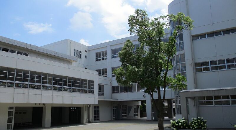 東急東横線 妙蓮寺駅 徒歩3分 6階建 築24年の周辺写真