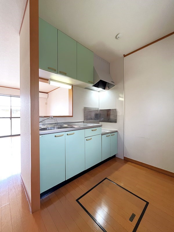 DUPLEX PURE Iのキッチン写真