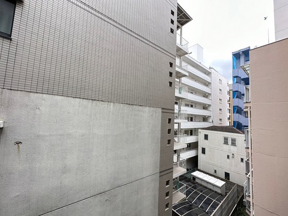 眺望　※別号室の写真です