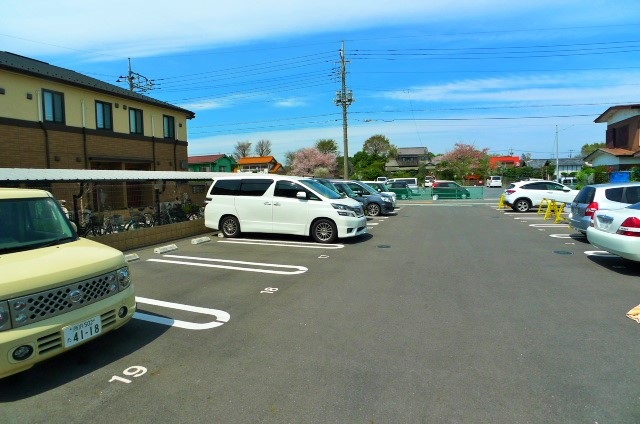 オーキッドのその他写真