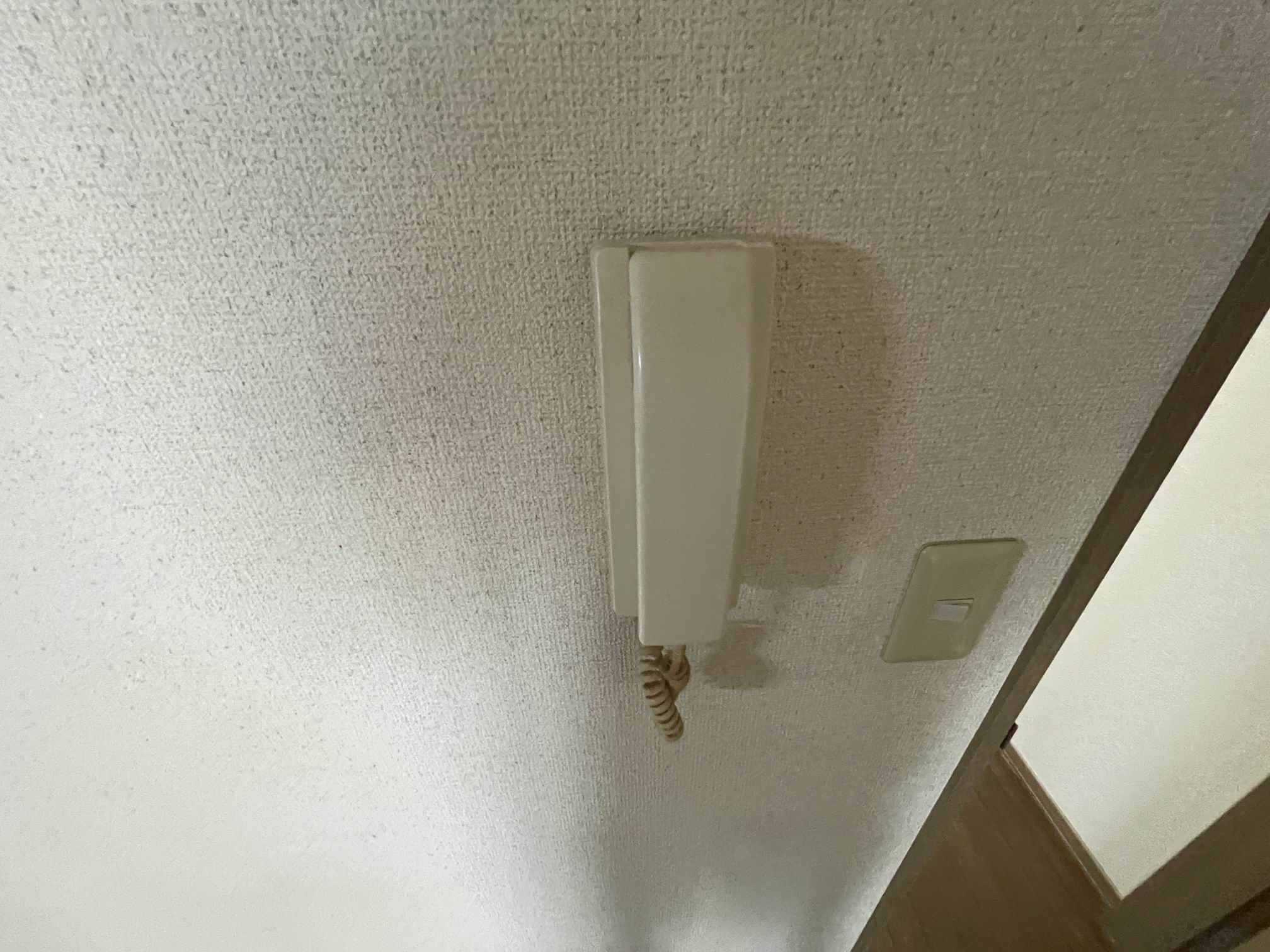 ホワイトスウィングのその他写真