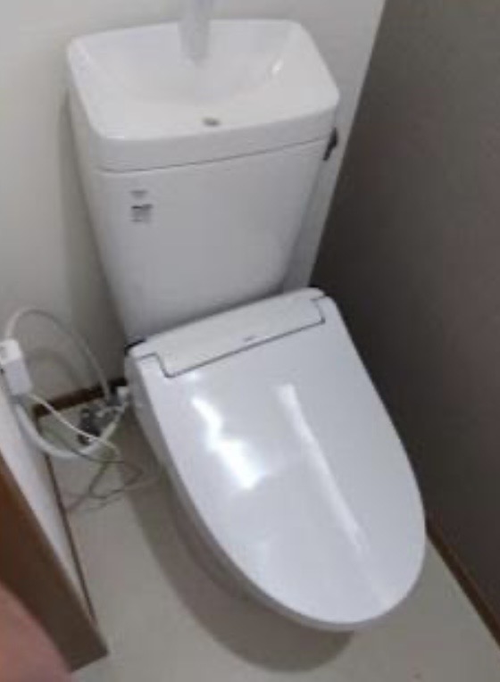 東湊町3丁目貸家のトイレ写真