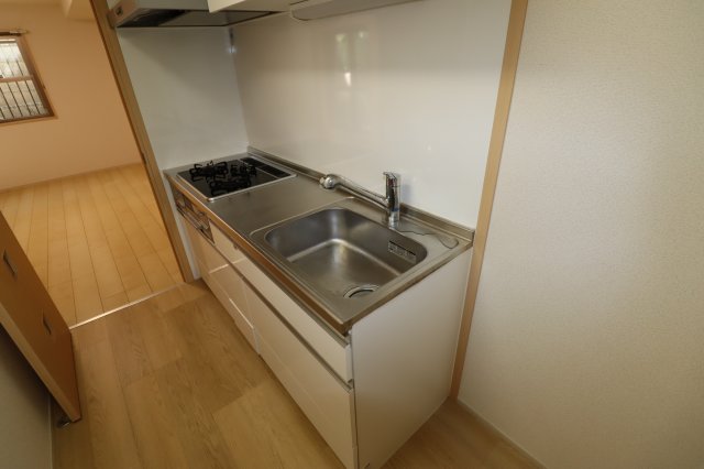 パレス龍大のキッチン写真