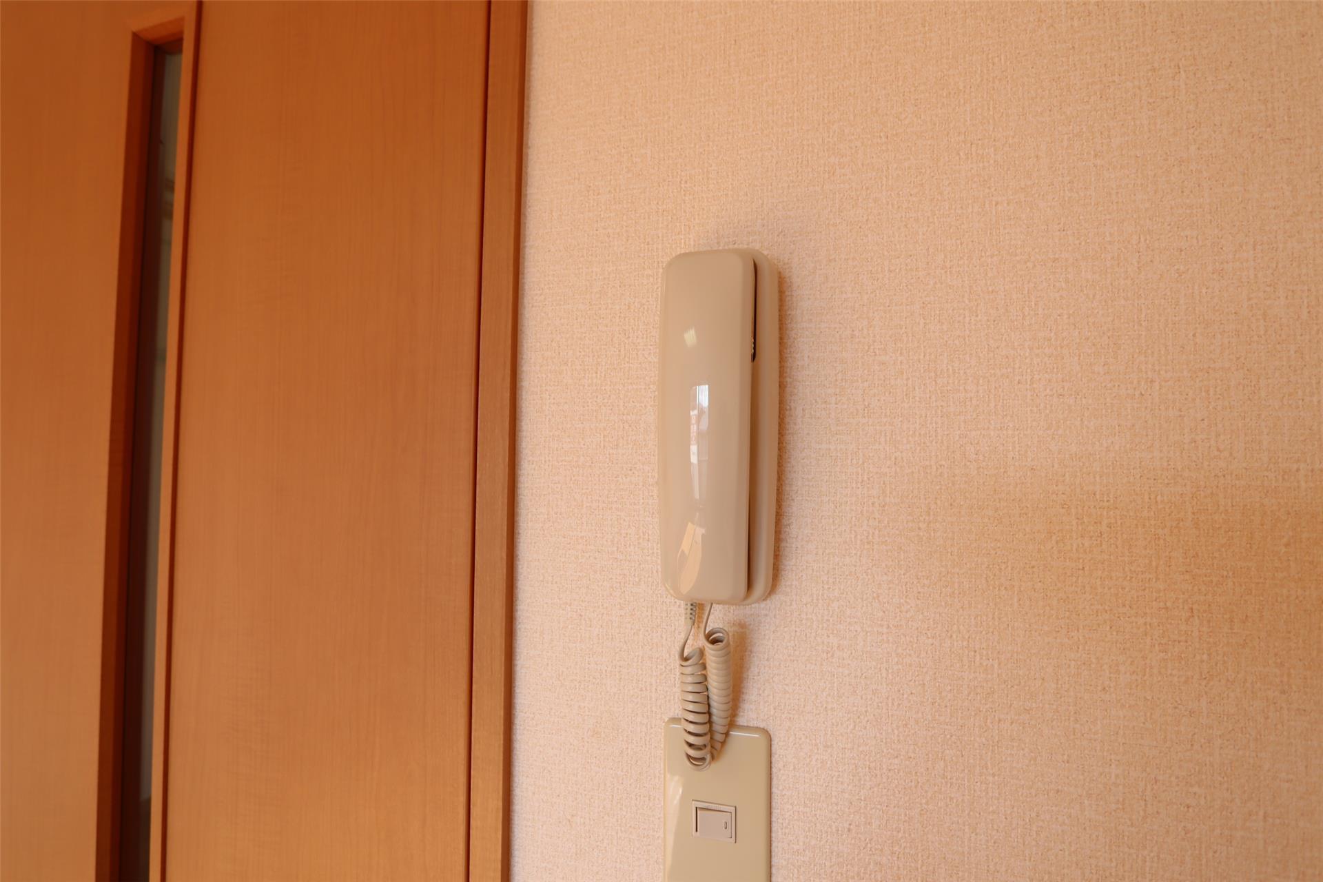 イミグラント クローバーのその他写真