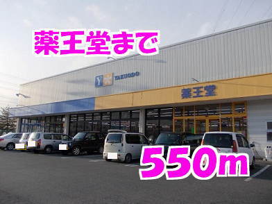 その他　薬王堂（その他）まで550m
