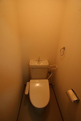 トイレ　同タイプ別室撮影