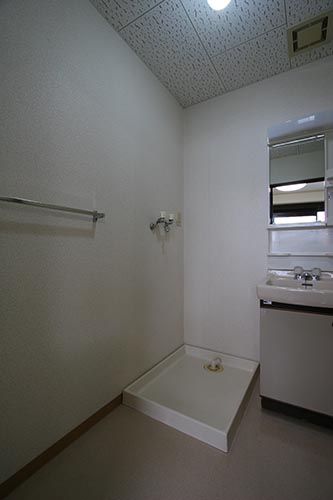 洗面設備　同タイプ別室撮影