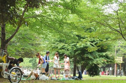 【ギャレリア杉並の公園】