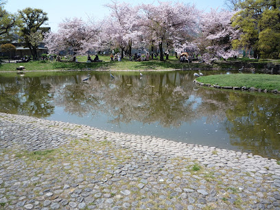 公園　住吉公園（公園）まで256m