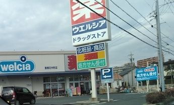 ドラックストア　ウェルシア豊橋花中町店（ドラッグストア）まで733m