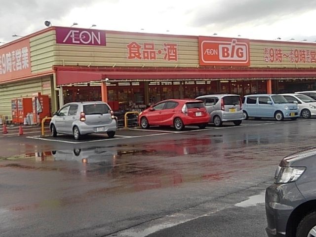 スーパー　ザ・ビッグ中原店（スーパー）まで1290m