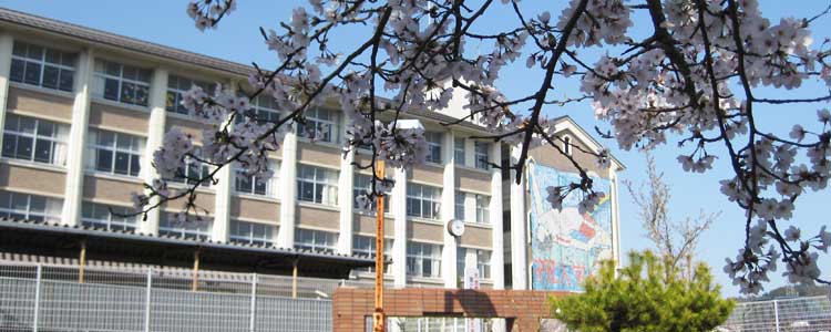 中学校　大津市立真野中学校（中学校）まで1968m