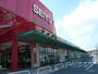 スーパー　西友楽市守谷店（スーパー）まで251m
