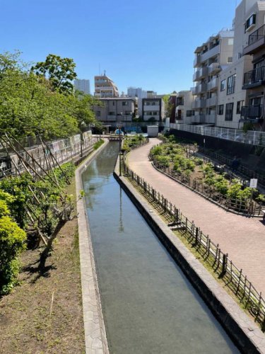 公園　古石場川親水公園（公園）まで376m