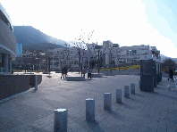 その他　九州国際大学（その他）まで400m