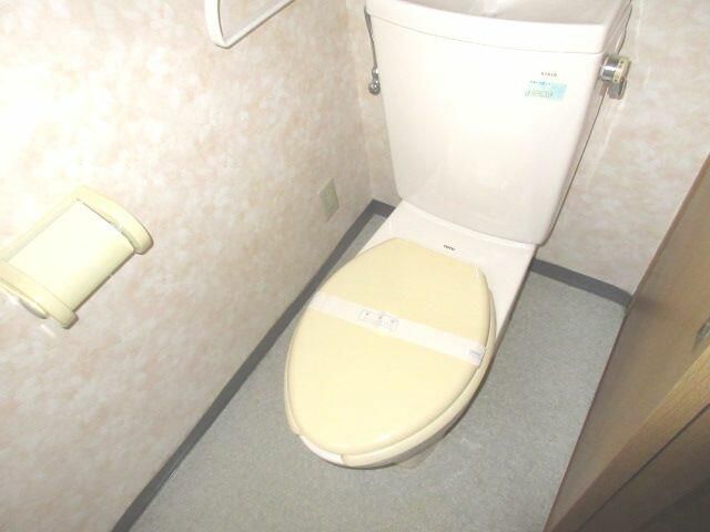 トイレ　トイレも気になるポイント