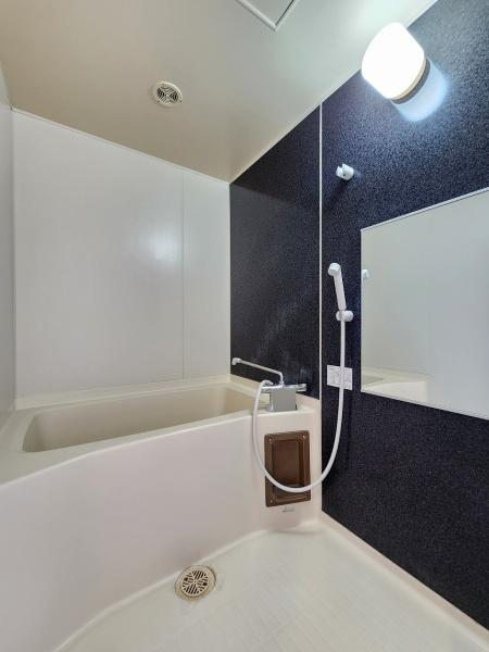 バス・シャワールーム　バススペースが明るいです