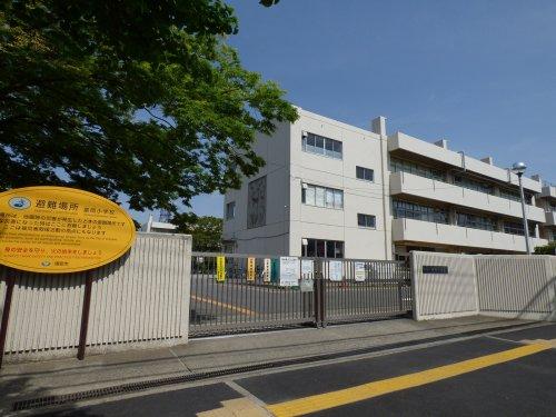 小学校　浦安市立富岡小学校（小学校）まで843m