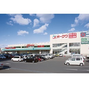 スーパー　オークワ和歌山中之島店（スーパー）まで557m
