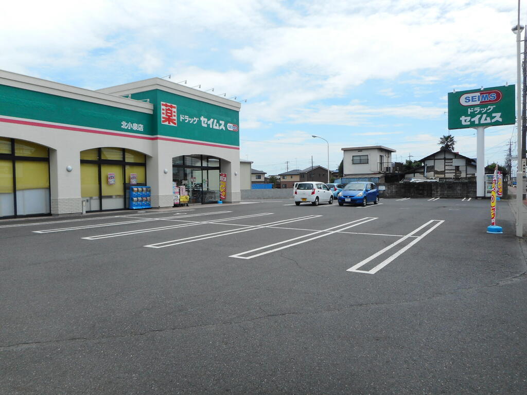 ドラックストア　ドラッグセイムス北小泉店（ドラッグストア）まで729m
