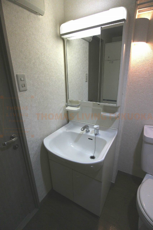 洗面設備　忙しい朝に便利なシャンプードレッサー。（写真は別タイプです）