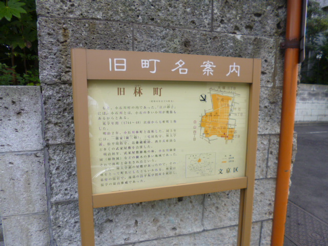 公園　千石緑地（公園）まで167m