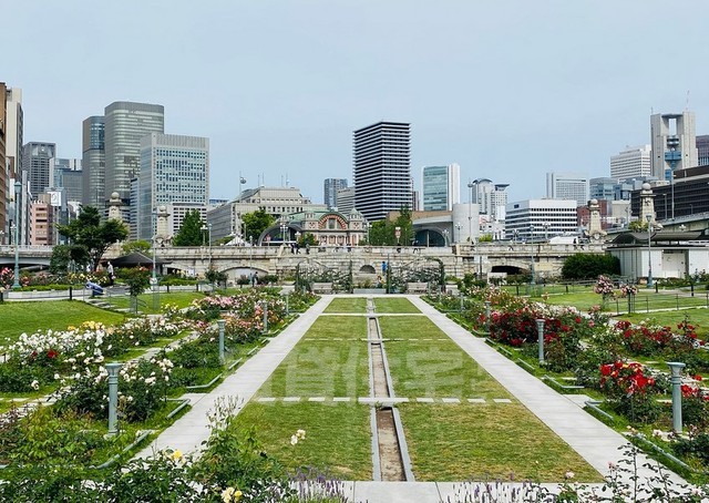公園　中之島公園（公園）まで620m