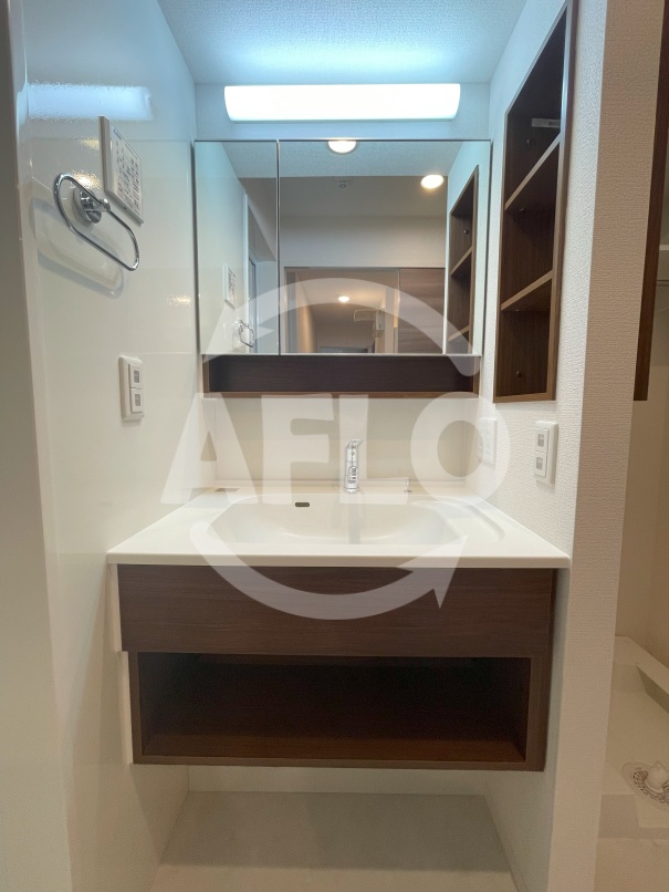 洗面設備　Raccolt阪南町（ラコルト阪南町）独立洗面台