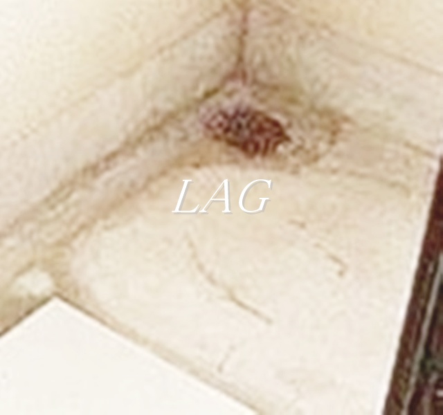 バルコニー　バルコニーです。