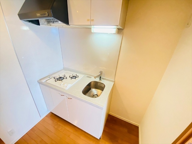 キッチン　同一建物内の別部屋の内装写真になります。（　１００９号室）