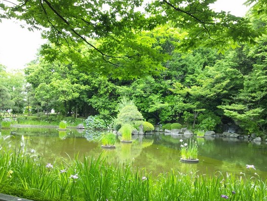 公園　後谷公園（公園）まで1182m