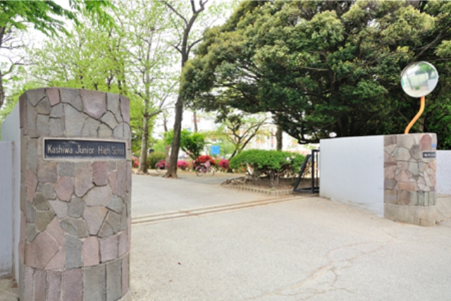 中学校　柏市立柏中学校（中学校）まで397m
