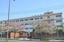 小学校　八枝小学校（小学校）まで605m