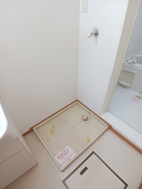 ホワイトアイ Aのその他写真