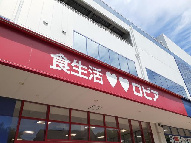 スーパー　ロピア川崎水沢店（スーパー）まで500m