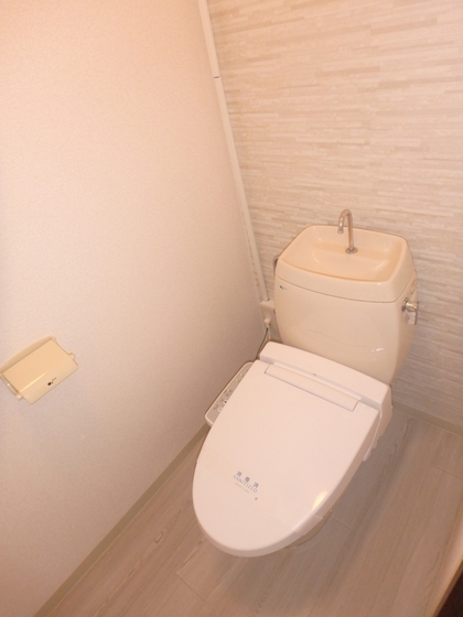 トイレ　他号室の写真です。