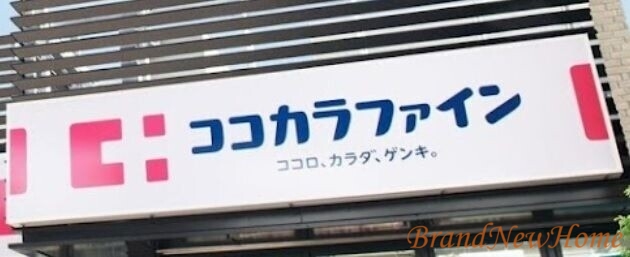 ドラックストア　ドラッグセガミ黒土店（ドラッグストア）まで275m